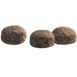 Prins Protection Croque Mini Senior Fit Hondenvoer 2 kg