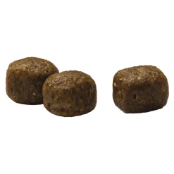 Prins VitalCare Adult Maxi Kattenvoer 10 kg