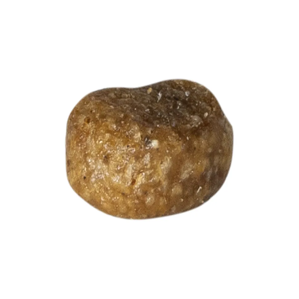 Prins VitalCare Protection Adult Fit Kattenvoer 1,5 kg