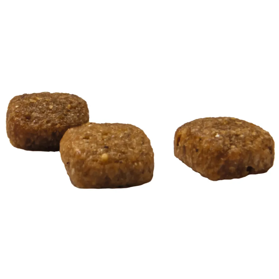 Prins VitalCare Senior Kattenvoer 4 kg