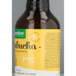 Purasana Kombucha Drank Gember Bio 330 ml