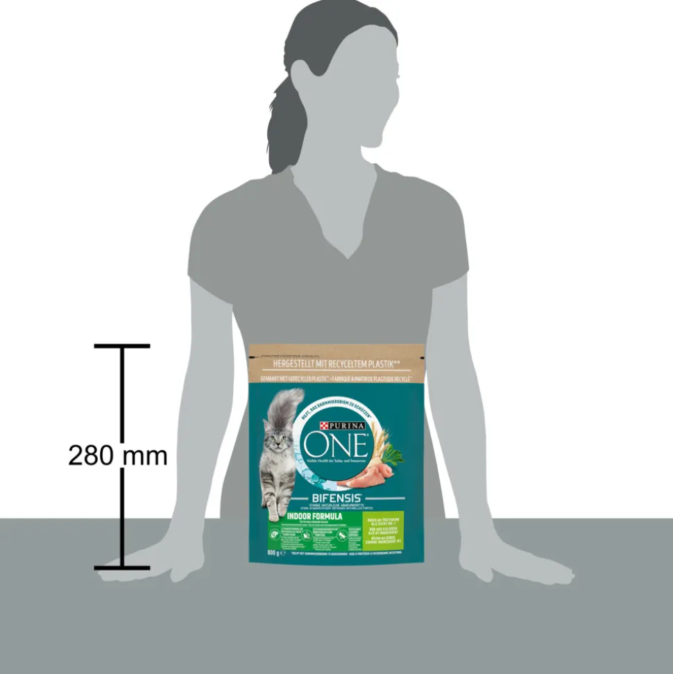 Purina ONE Indoor Kalkoen 800 gr