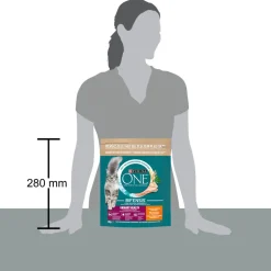 Purina ONE Urinary Care Kip 800 gr