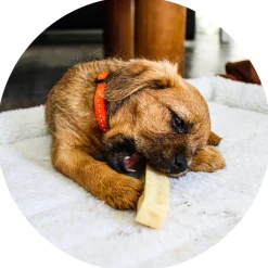 Renske Chhurpi Himalayan Kauwkluif L 90 gr