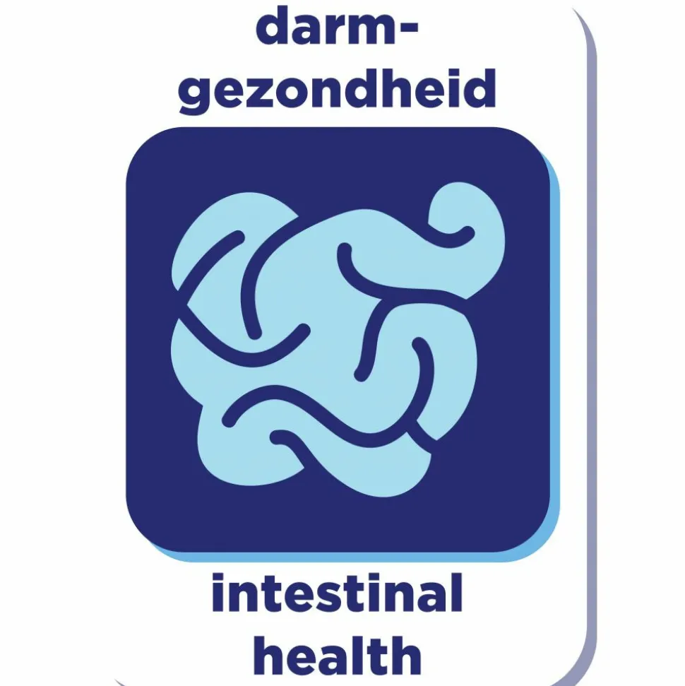 Renske Gezonde Beloning Hartjes Hondensnack Kalkoen 150 gr