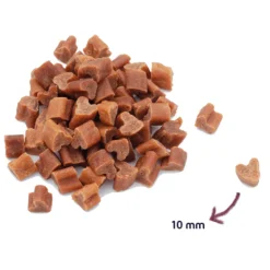 Renske Gezonde Beloning Mini Hartjes Hondensnack Eend 300 gr