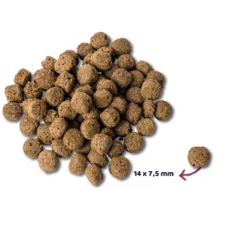 Renske Super Premium Adult Hondenvoer Oceaanvis 12 kg