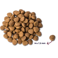 Renske Super Premium Adult Hondenvoer Kalkoen - Eend 2 kg