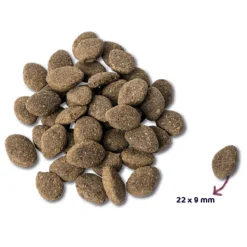 Renske Super Premium Graanvrij Adult Hondenvoer Lam 2 kg