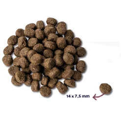 Renske Super Premium Graanvrij Senior Hondenvoer Kalkoen 12 kg