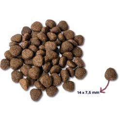 Renske Super Premium Graanvrij Adult Hondenvoer Zalm 12 kg