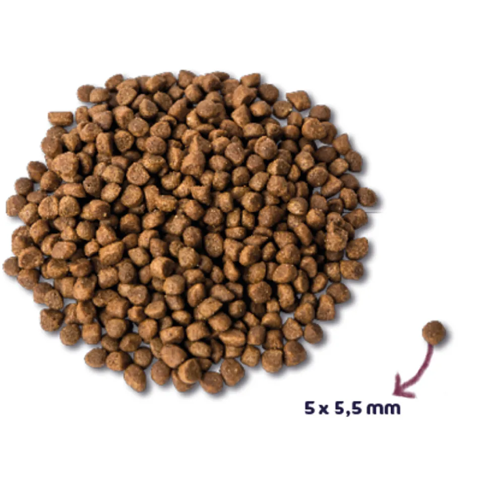 Renske Super Premium Kitten Kattenvoer Kalkoen & Kip 1,5 kg