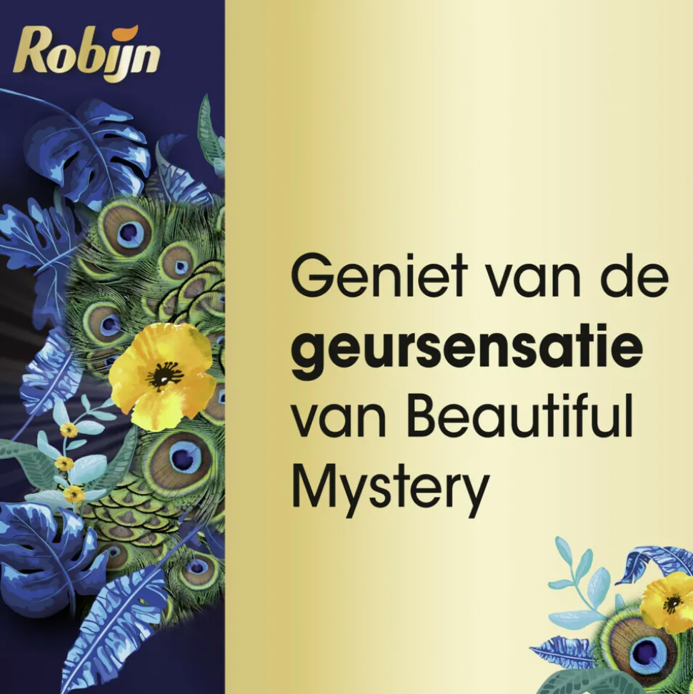 Robijn Klein & Krachtig Wasmiddel Black Beautiful Mystery 19 Wasbeurten 665 ml