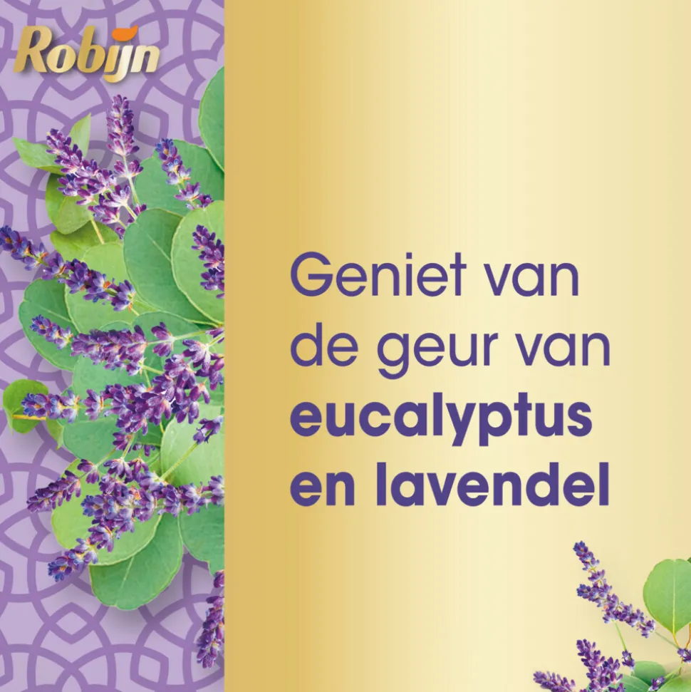 Robijn Klein & Krachtig Wasmiddel Spa Sensation 19 Wasbeurten 665 ml