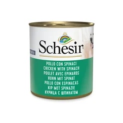 Schesir Hondenvoer Kip Spinazie in Gelei 285 gr
