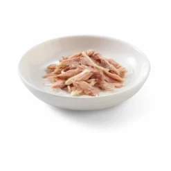 Schesir Kattenvoer Tonijn en Kip in Gelei 85 gr