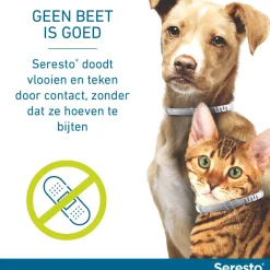 Seresto Anti Vlooien en Teken Halsband Kat Tot 8 kg 2-pack 38 cm