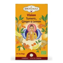 Shoti Maa Biologische Thee Zakjes Vision 16 stuks