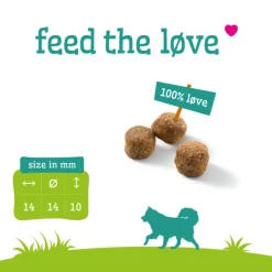 Smolke Graanvrij Hondenvoer Adult 12 kg