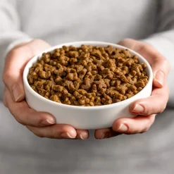 Smolke Kattenvoer Adult Kip 4 kg