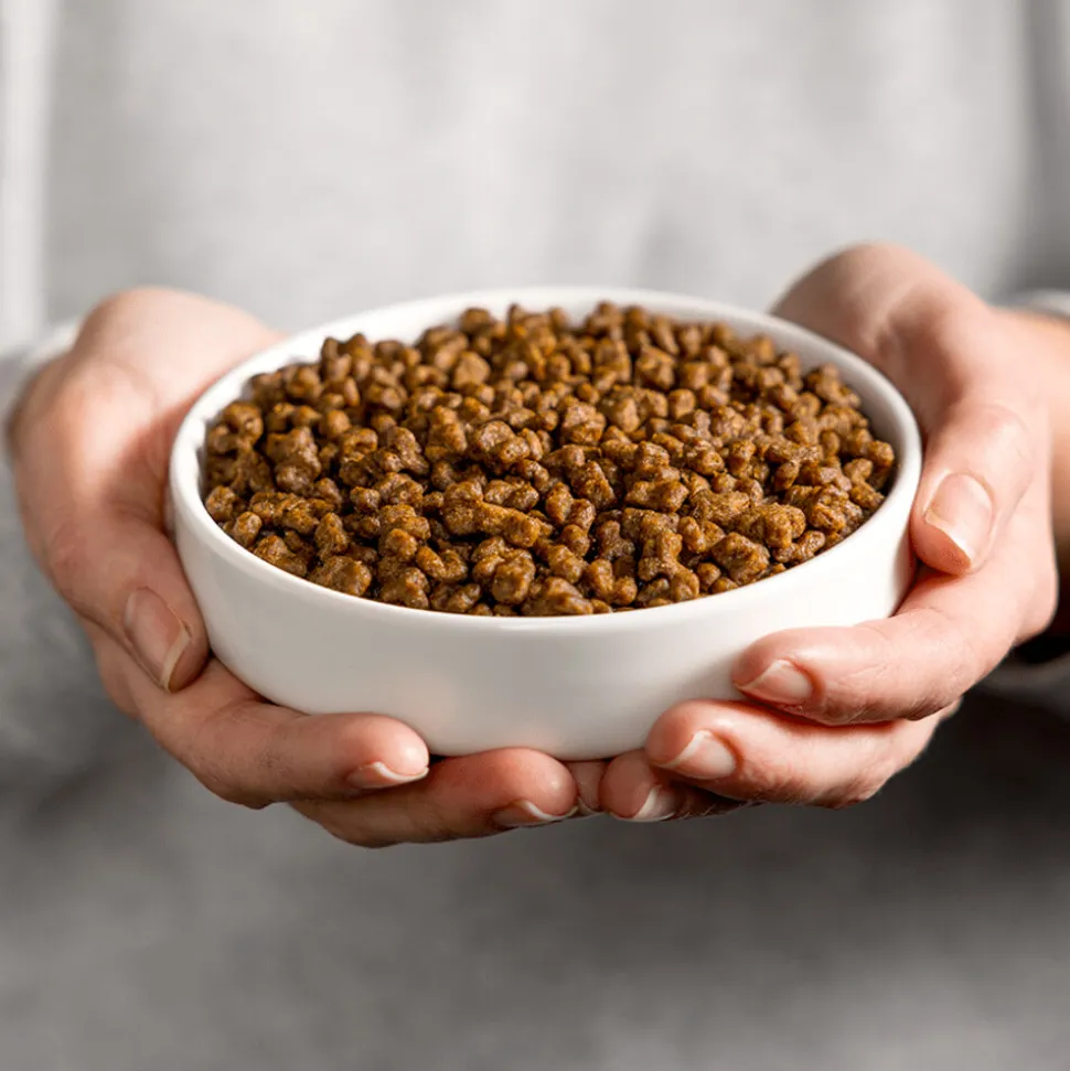 Smolke Kattenvoer Kitten 2 kg