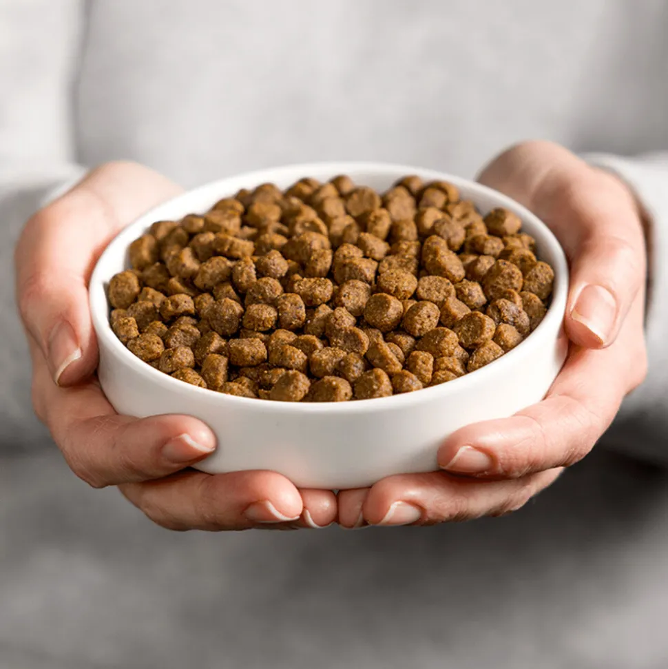 Smolke Sensible Kattenvoer 4 kg