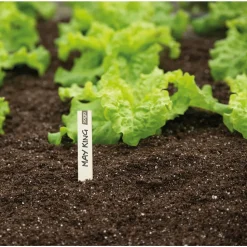 SOGO Houten Steeketiket 10 cm 24 stuks