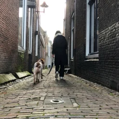 Trailstone Leash Dispenser