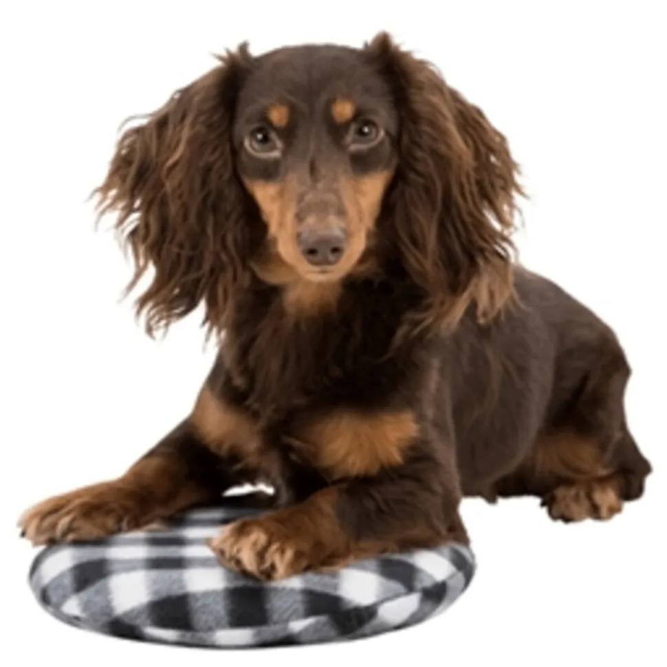 Trixie Warmtekussen Magnetron 26 cm