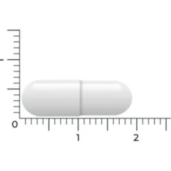 Vitakruid S-Acetyl-L-Glutathion 90 vegacapsules