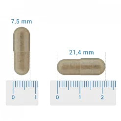 Vitalize Cholesterol Evenwicht Q10 90 capsules