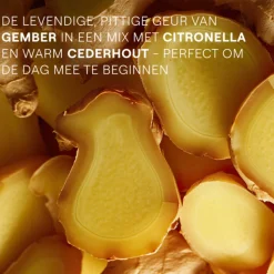 WELEDA Aroma Shower Douchegel Energy 200 ml