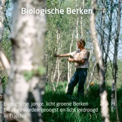 WELEDA Berken Pearl Scrub Douchecrème 150 ml