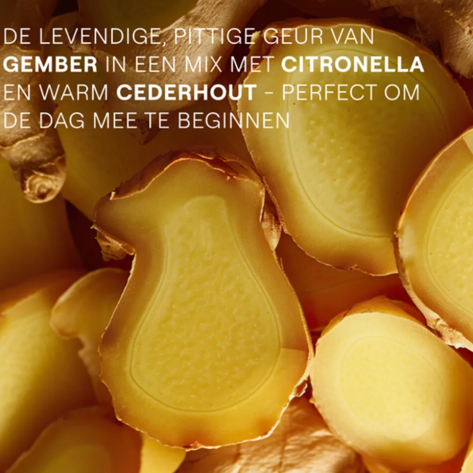 WELEDA Douchegel Gember Energy 400 ml