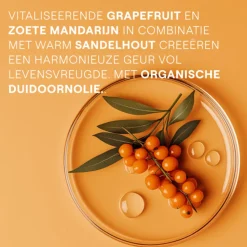 WELEDA Duindoorn Vitality Douchecrème 200 ml