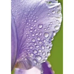 WELEDA Fluide Light Iris 30 ml