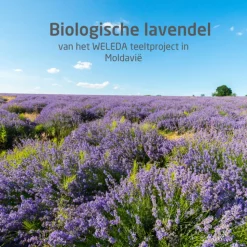 WELEDA Lavendel Ontspannende Body Olie 100 ml