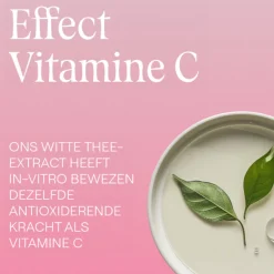 WELEDA Wilde Rozen & Witte Thee Vitaliserende Dagcrème 40 ml