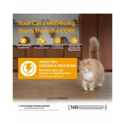 Wellness Core Kattenvoer 98% Recipe Kip - Zwijn 85 gr