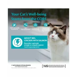 Wellness Core Kattenvoer 98% Recipe Kip - Zalm 85 gr