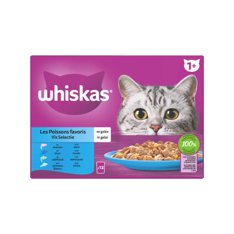 Whiskas 1+ Vis Selectie in Gelei Maaltijdzakjes Multipack 12 x 85 gr