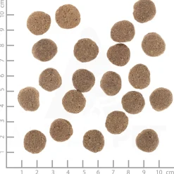 Wolfsblut VetLine Weight Management 12 kg