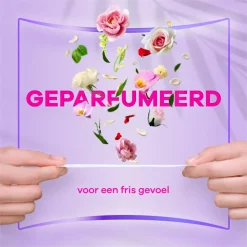 4x Always Inlegkruisjes Dailies Normal Classic Soft Like Cotton Fresh 58 stuks