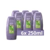 6x Andrélon Conditioner Iedere Dag 250 ml
