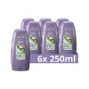 6x Andrélon Conditioner Mild & Zacht 250 ml