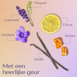 6x Andrélon Haarserum Oil & Care 75 ml