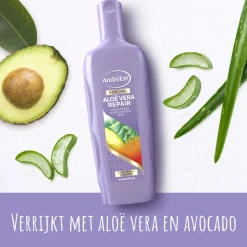 6x Andrélon Shampoo Aloe Vera Repair 300 ml