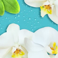 10x Antikal Douche Express 800 ml