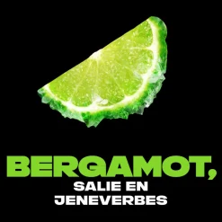 6x Axe Deodorant Bodyspray Aqua Bergamot 150 ml