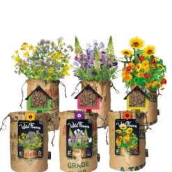 3x Baza Wildbloemen met Bijenhotel Pakket